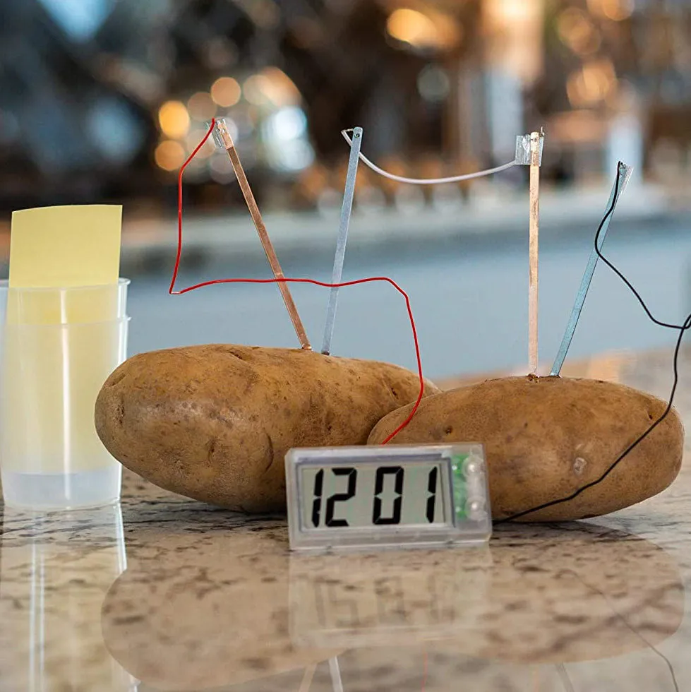 4M Green Science Potato Clock