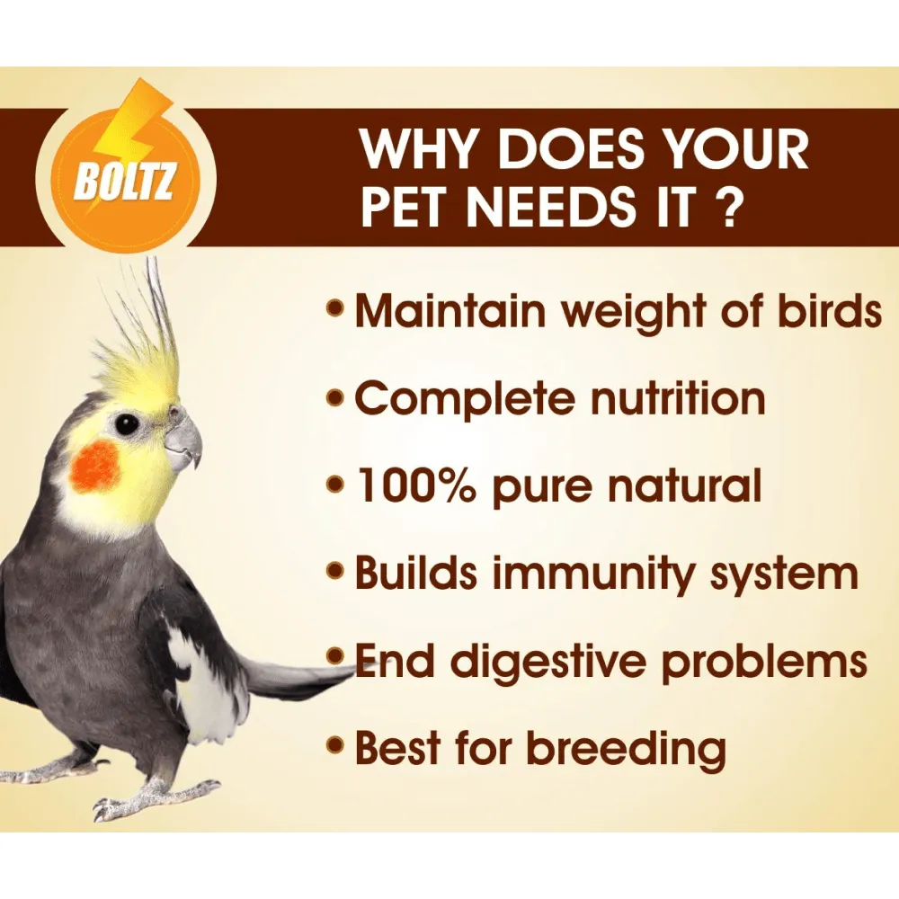 Boltz Cockatiel & Lovebird Food