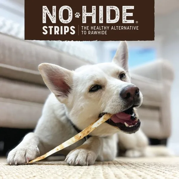 Earth Animal No Hide Pumpkin Strips for Dogs