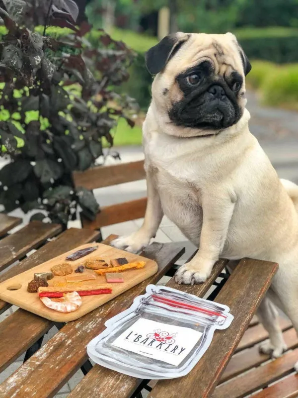 L'Barkery Treat Sampler Pack