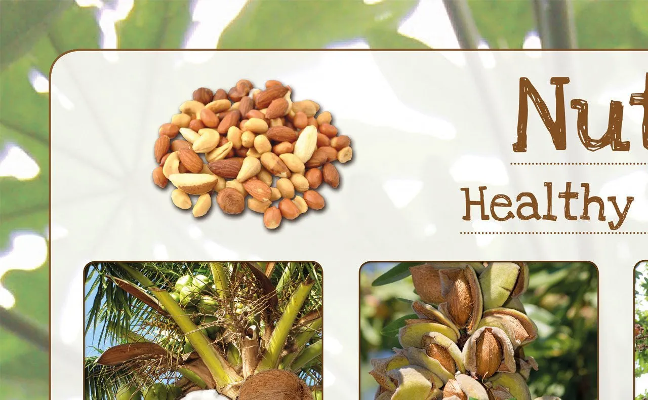 Nuts Poster Healthy Eating