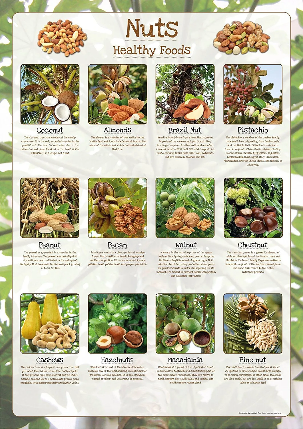 Nuts Poster Healthy Eating