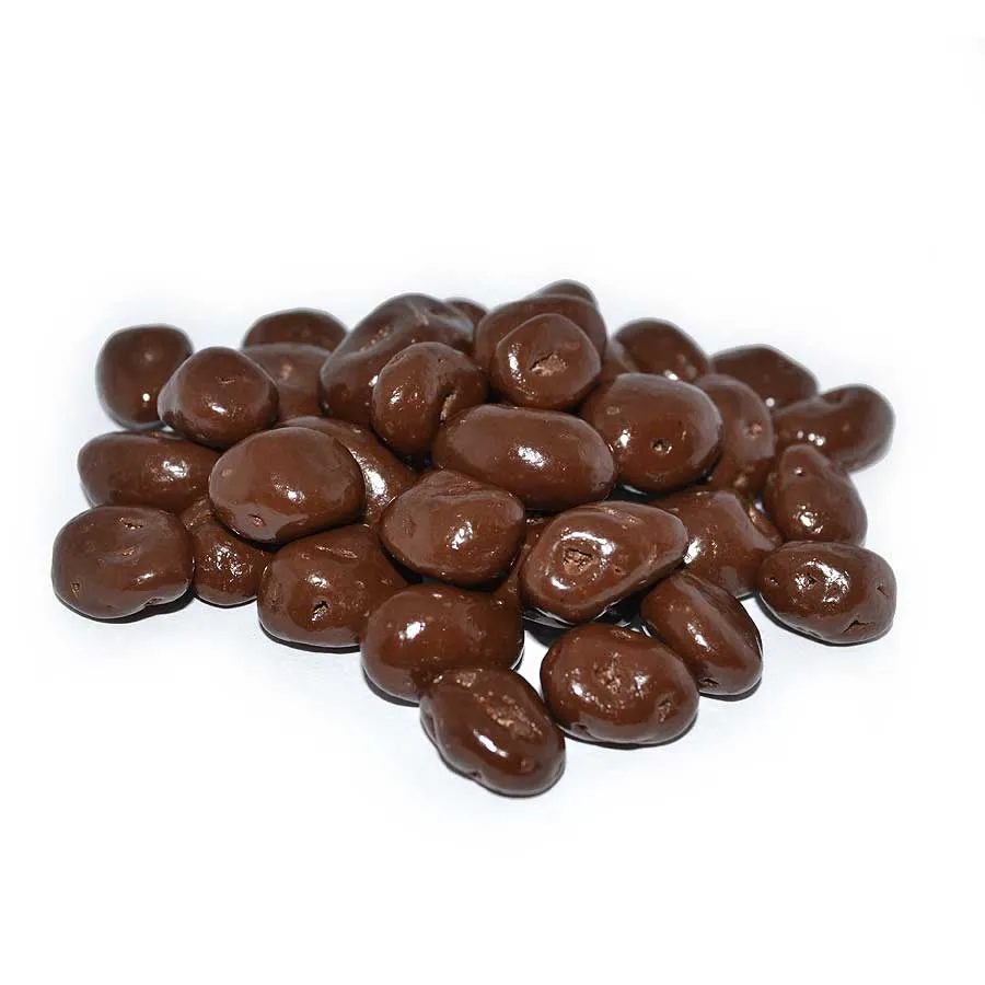 Ozark Nut Roasters No Sugar Added Chocolate Raisins