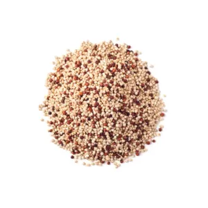 Tri Color Quinoa Seeds